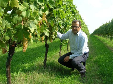 The Veneto Italian Table Experience and In-Shop Wine Tasting with Sisto Tessari